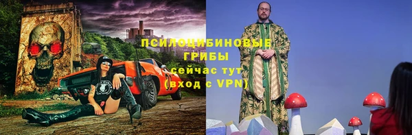 ПСИЛОЦИБИНОВЫЕ ГРИБЫ Верхнеуральск